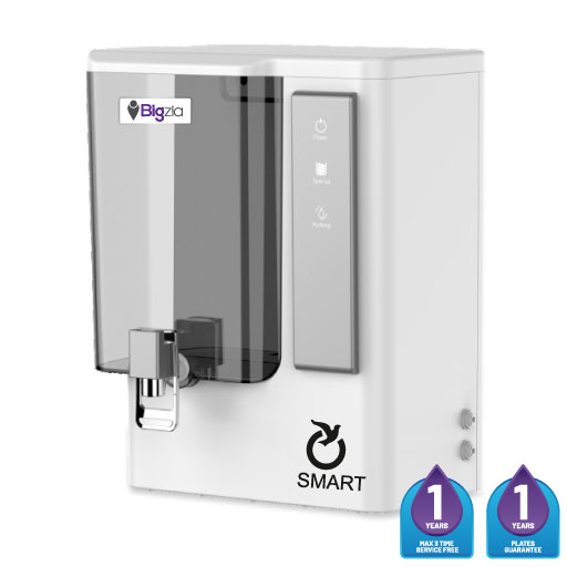 BIGZIA Smart